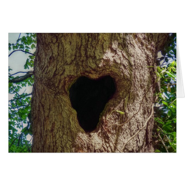 Árbol del corazón (Anverso (Horizontal))