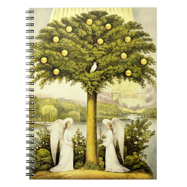 Árbol del cuaderno de la vida (Frente)