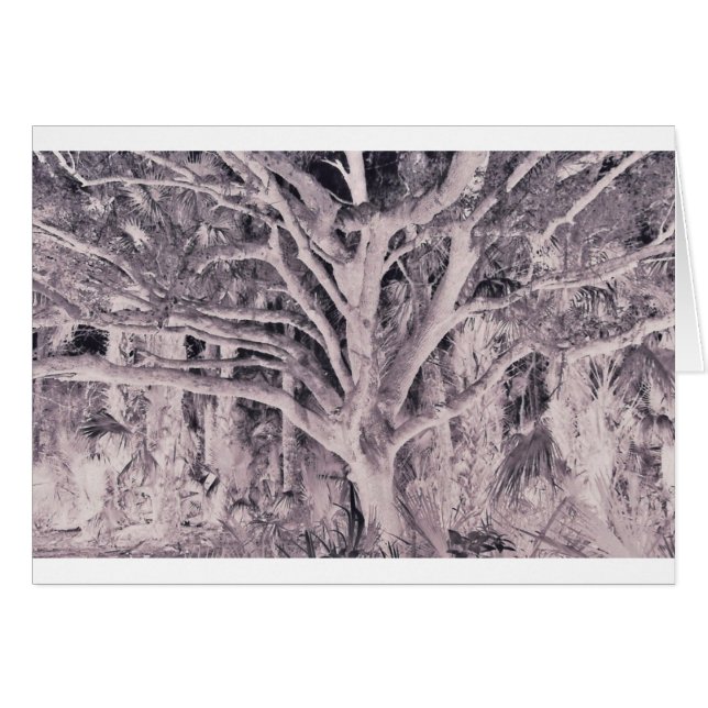 Árbol del fantasma (Anverso (Horizontal))