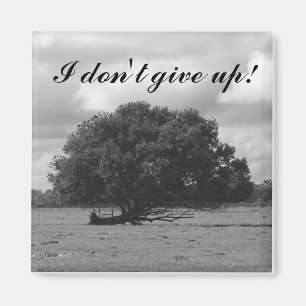 Árbol del imán del cuadrado de la vida