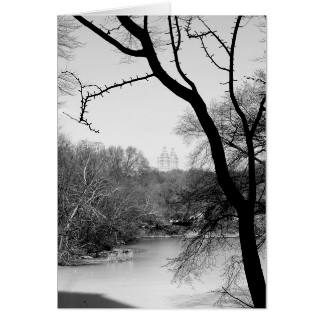 Árbol del invierno - Central Park NYC (Frente)