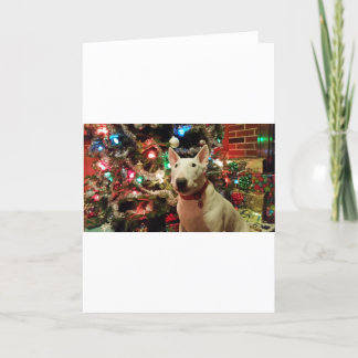 árbol del regalo de Navidad de bull terrier