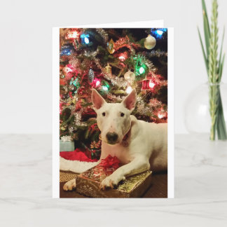 árbol del regalo de Navidad de bull terrier