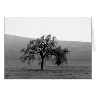 Árbol distante (blanco y negro)