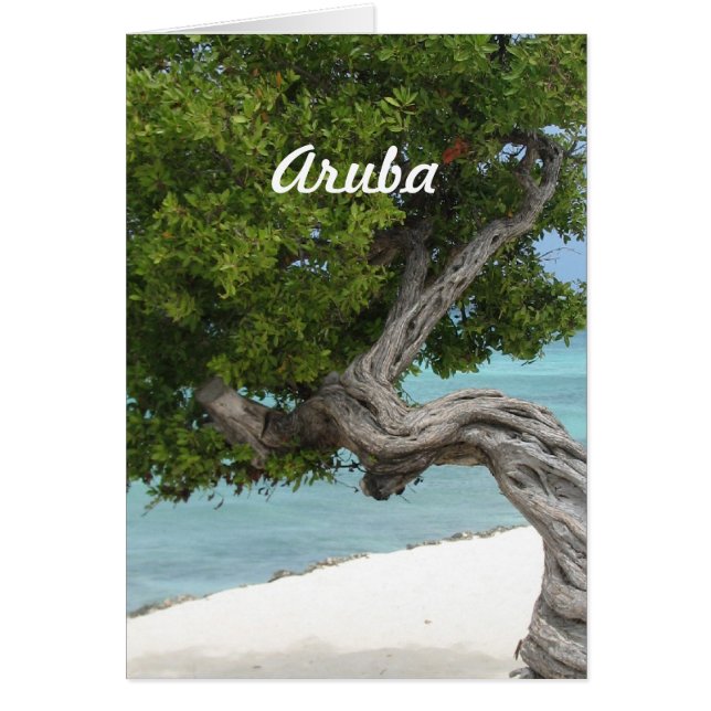 Árbol Divi Divi en Aruba (Frente)