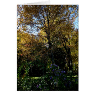 Árbol en blanco_malva