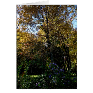 Árbol en blanco_malva