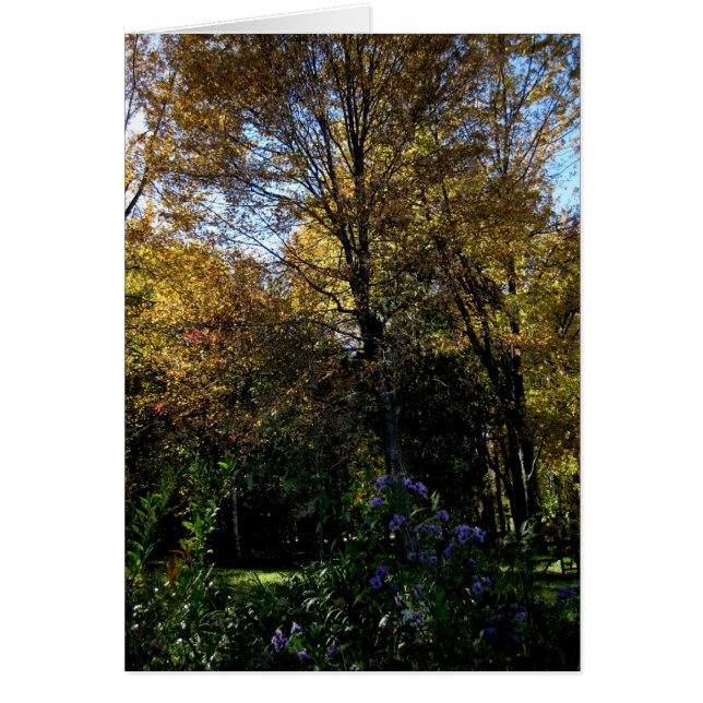 Árbol en blanco_malva (Frente)