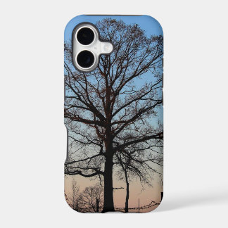 Árbol en el iPhone 5 de la oscuridad