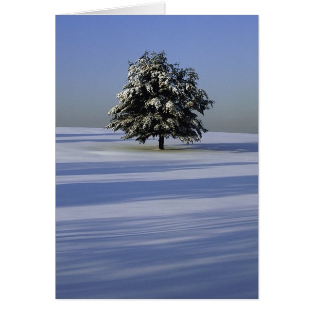 Árbol en el paisaje cubierto de nieve (Frente)