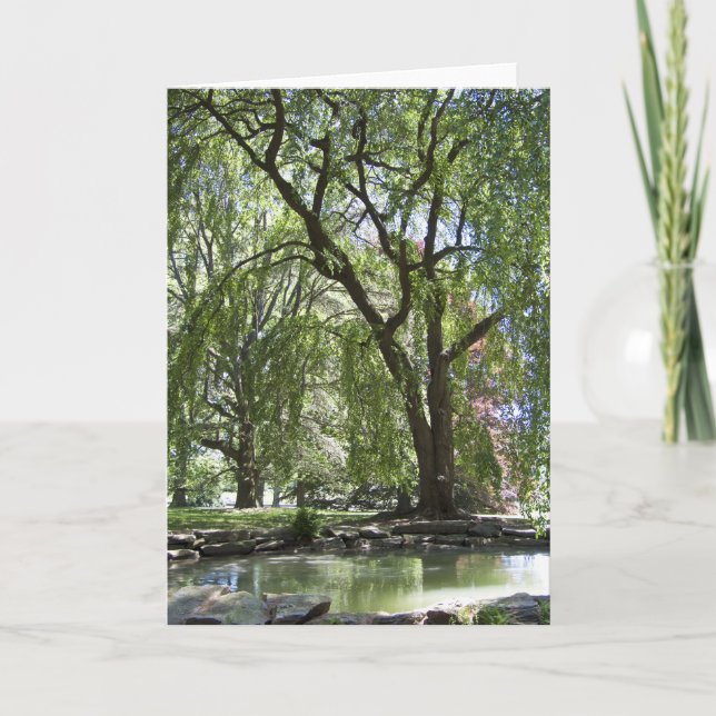 Árbol en tarjeta de primavera (Anverso)