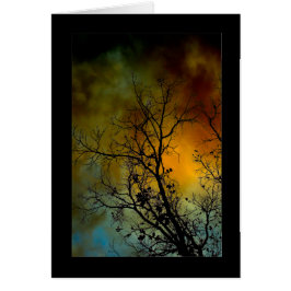 árbol en una mañana tormentosa