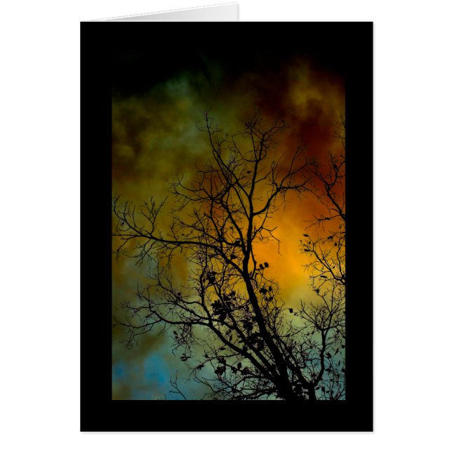 árbol en una mañana tormentosa (Frente)