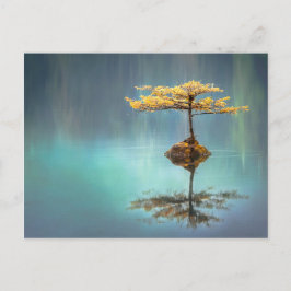 ÁRBOL EN UNA TARJETA POSTAL DE LA ISLA