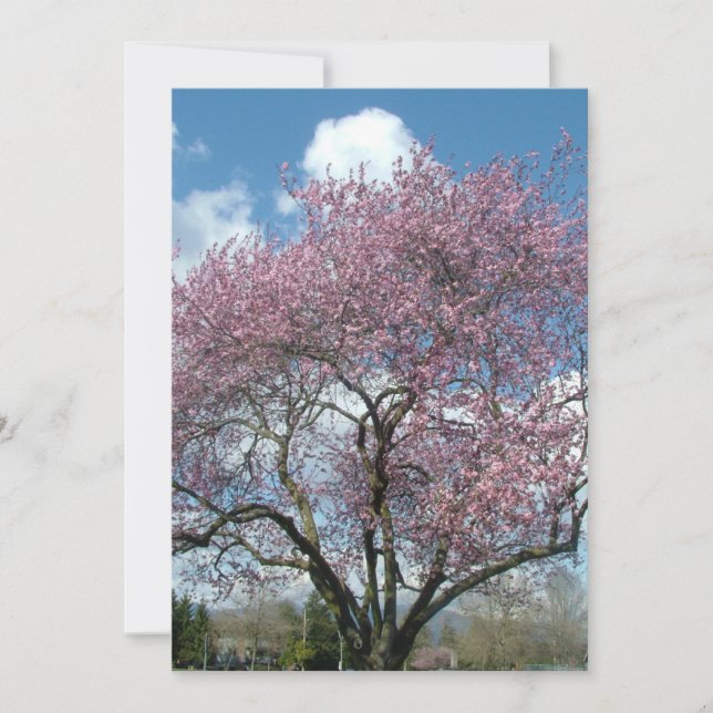 árbol floreciente de cerezo por invitación de aniv (Anverso)