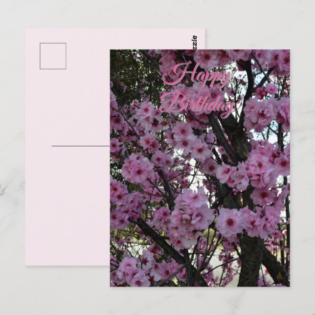 Árbol florido de primavera rosa, tarjeta postal de (Anverso / Reverso)