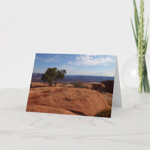 Árbol fuera de las rocas rojas I en Canyonlands