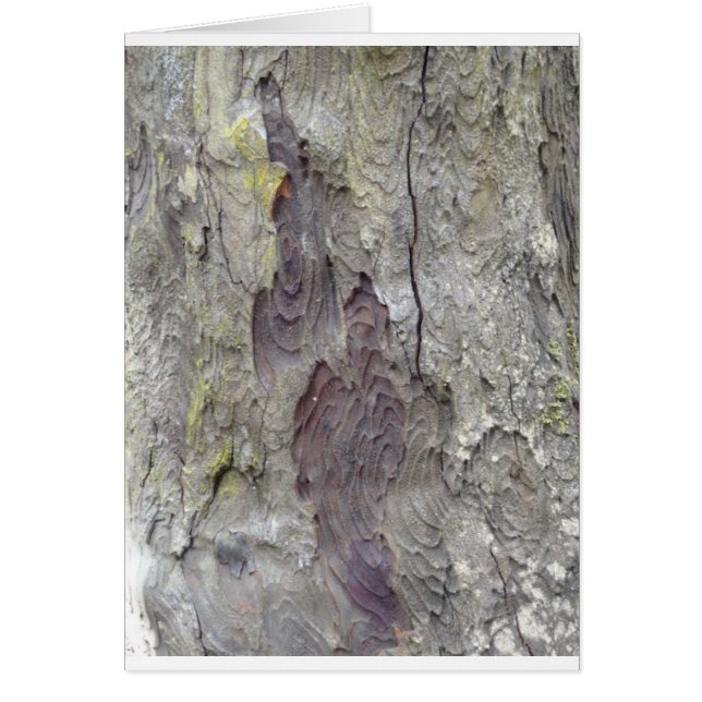 Árbol hermoso (Frente)