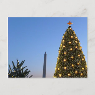 Árbol Nacional de Navidad de Washington DC al atar