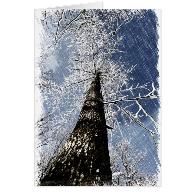 Árbol Nevado (Frente)