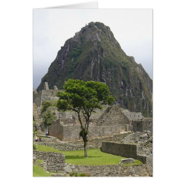 árbol picchu machu (Frente)