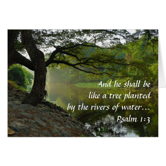 Árbol plantado por el agua, salmo 1:3, Escritura (Anverso (Horizontal))