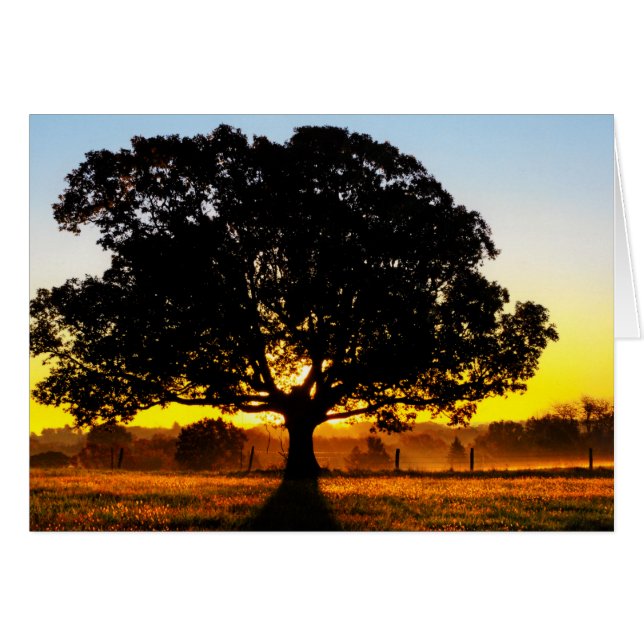 Árbol por la mañana (Anverso (Horizontal))