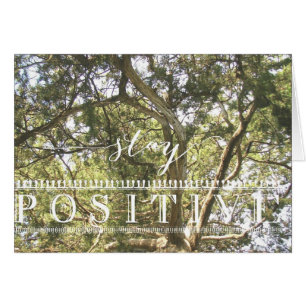 Árbol positivo de permanencia