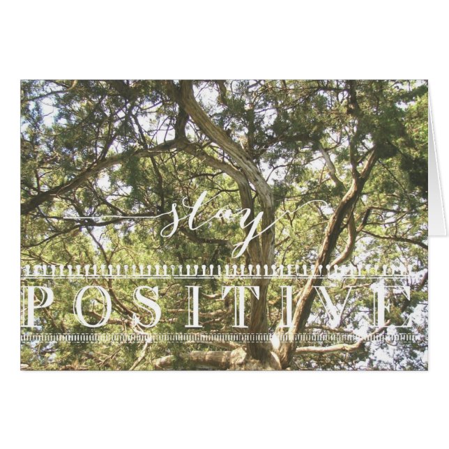 Árbol positivo de permanencia (Anverso (Horizontal))