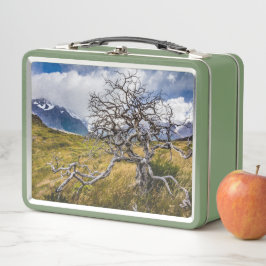Árbol quemado, Torres del Paine, Chile