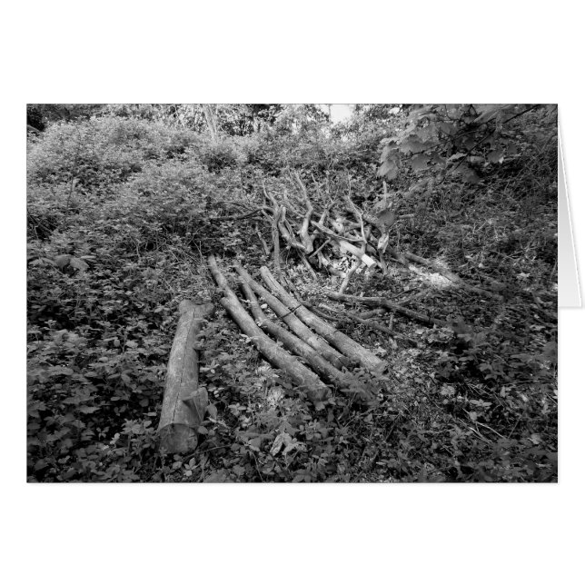 Árbol recortado (Anverso (Horizontal))