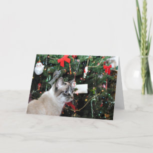 Árbol siamés de gatos y Navidad