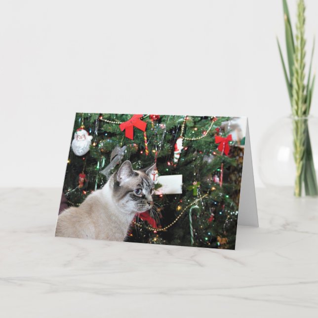 Árbol siamés de gatos y Navidad (Anverso)