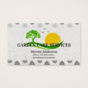 Árbol Sol Jardinería Jardín