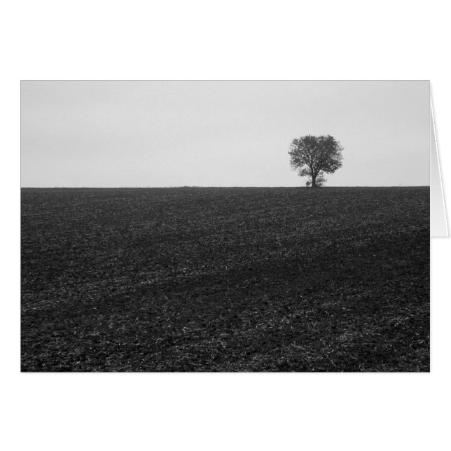 Árbol solitario (Anverso (Horizontal))