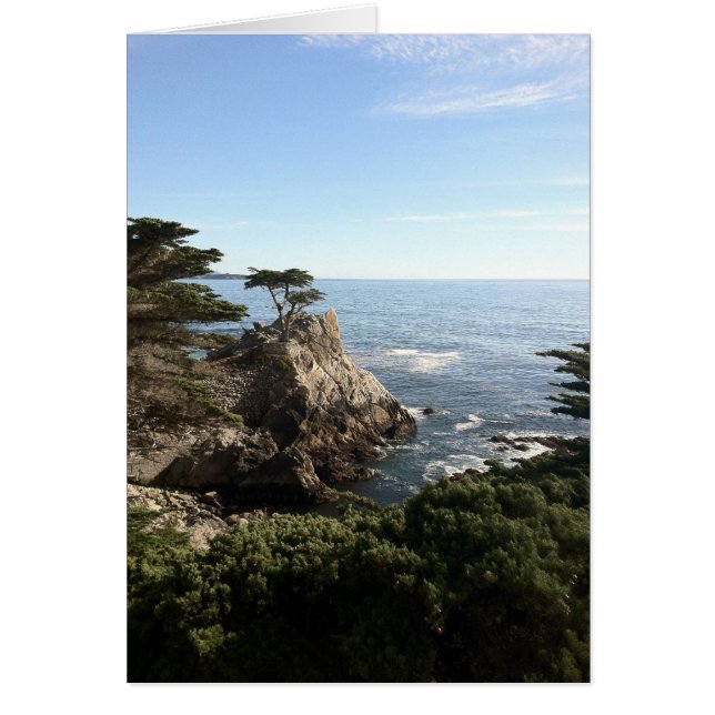 Árbol solitario (Frente)