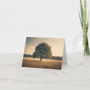 Árbol Soñador En Campo