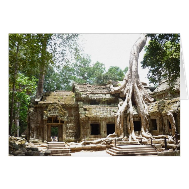 árbol ta prohm (Anverso (Horizontal))