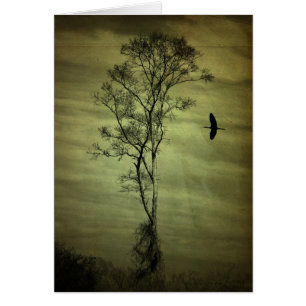 Árbol y pájaro solitarios