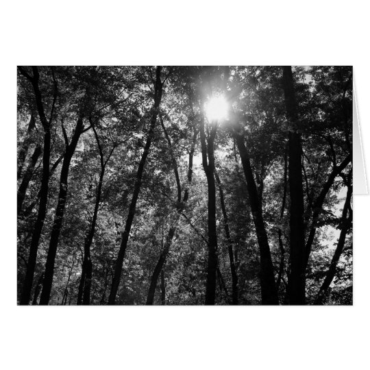 Árbol y tarjeta de Sun (1)