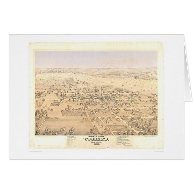Arbolado, mapa panorámico del CA (1874A) (Anverso (Horizontal))