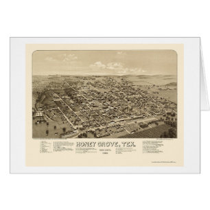 Arboleda de la miel, mapa panorámico de TX - 1886