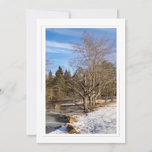 Árboles a orillas del lago - Tarjeta de vacaciones (Anverso)