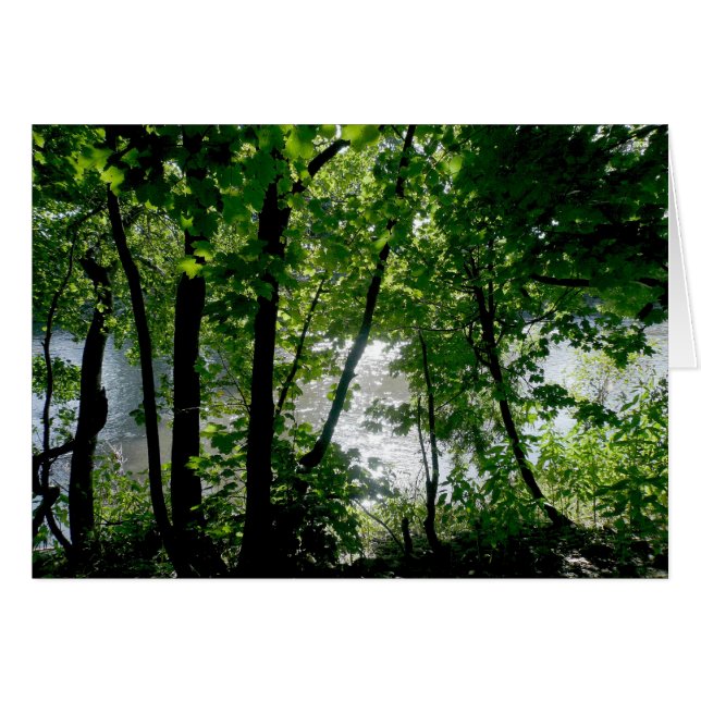 Árboles a orillas del río (Anverso (Horizontal))