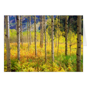 Árboles abisales en otoño en las rocas