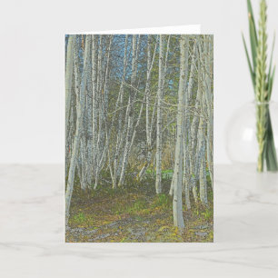 Árboles Alder - Tarjeta de arte marco