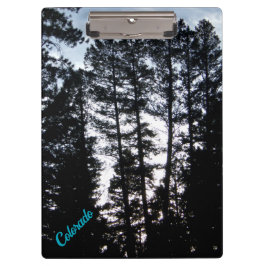 Árboles altos en el Portapapeles de las Montañas C