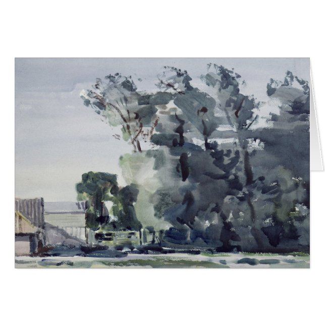 Árboles - amanecer (Anverso (Horizontal))