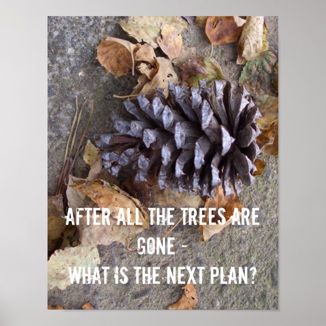 Árboles animales posters de conservación de la nat (Frente)