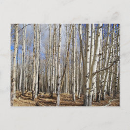 Árboles ápicos en postales de invierno